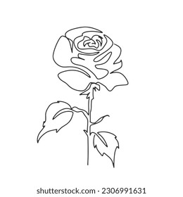 continuous line one line rose flower nature valentine hand drawn illustration vector