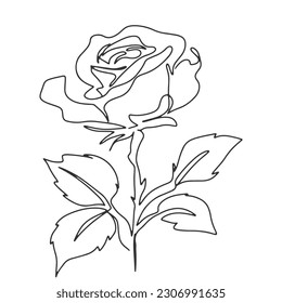 continuous line one line rose flower nature valentine hand drawn illustration vector