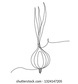 Continuous line onion for grocery store, printing on posters and banners. Linear style