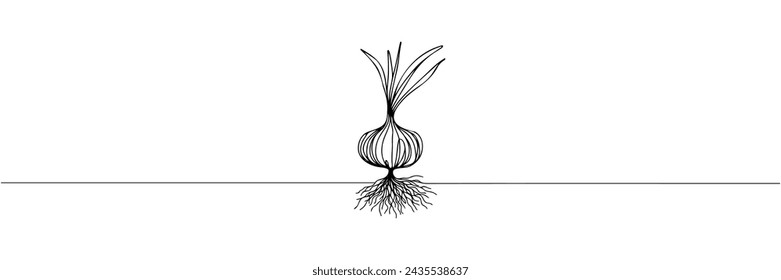 Continuous line onion for grocery store, printing on posters and banners. Vector illustration