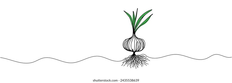Línea continua de cebolla para supermercado, impresión en carteles y pancartas. Ilustración de vector