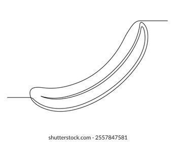 Continuous line of opened banana isolated on white background. Simple silhouette of fruit. Hand drawn banana outline. Vector illustration
