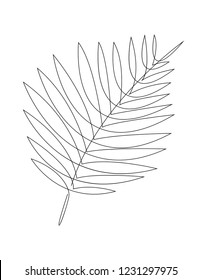 Continuous line palm leaf logo. Tropical leaf line vector illustration.