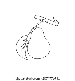 continuous line of pear fruit, pears isolated on a white background