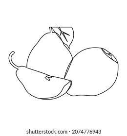 continuous line of pear fruit, pears isolated on a white background