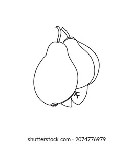 continuous line of pear fruit, pears isolated on a white background