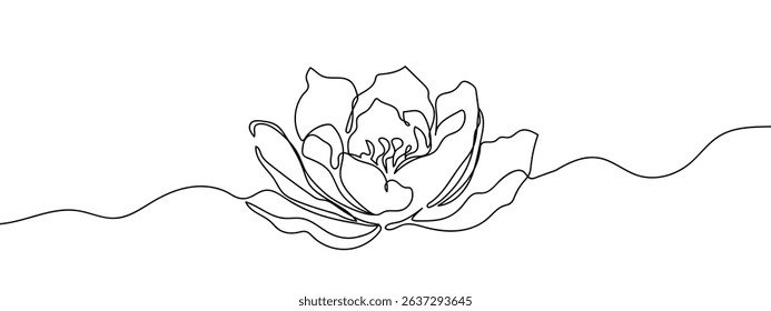 Continuous line, peony Line Art Vector Transparent Background.