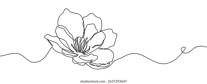Continuous line, peony Line Art Vector Transparent Background.