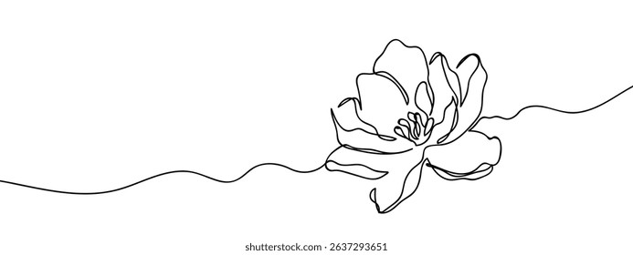 Continuous line, peony Line Art Vector Transparent Background.