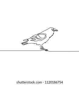 Continuous line Raven isolated on white background. Vector illustration. 