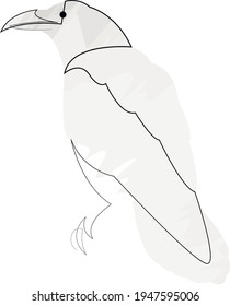 Continuous line raven. Single line minimal style crow vector illustration. Abstract bird drawing.