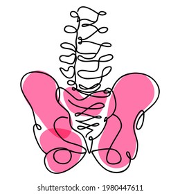 Dibujo realista continuo del hueso de la cadera sobre fondo blanco.