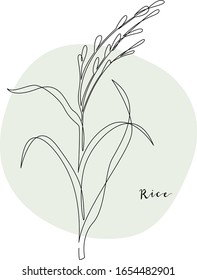 Continuous line rice, grain crop. Vector line art. Perfect for logo, packaging design, icon, branding, cafe menu, flyer