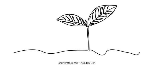 continuous line sapling growing in the garden