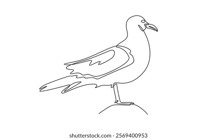 continuous line of seagull illustration