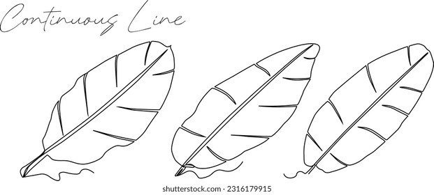 continuous line set bundle of banana leaves white background