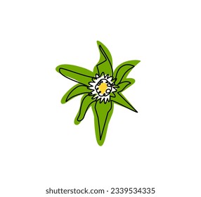 Continuous line or single line Flower of Eclipta Alba
