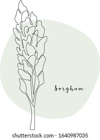Continuous line sorghum, grain crop. Vector line art. Perfect for logo, packaging design, icon