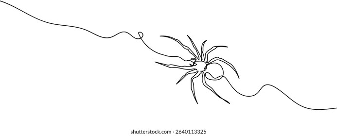 continuous line spider Vector art lines, transparent background.