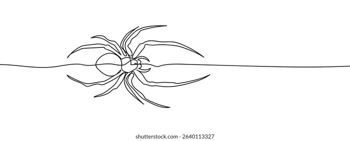continuous line spider Vector art lines, transparent background.