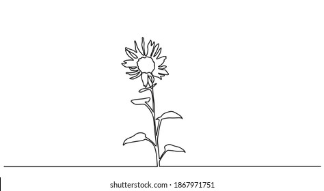Continuous line sunflower logo. Sunflower single line vector illustration. One single line drawing of beauty sunflower isolated on white background. Beautiful flower concept hand draw design vector.