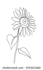 Continuous line sunflower summer nature tree simple line Hand drawn style illustration vector