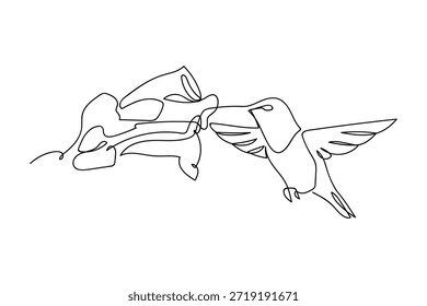 A continuous line of text shows a hummingbird flying in the air, feeding on nectar from a flower. one line drawn. linear concept.