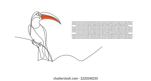 continuous line of the toucan bird. line drawing of a large beaked bird. toco toucan unique animal line art
