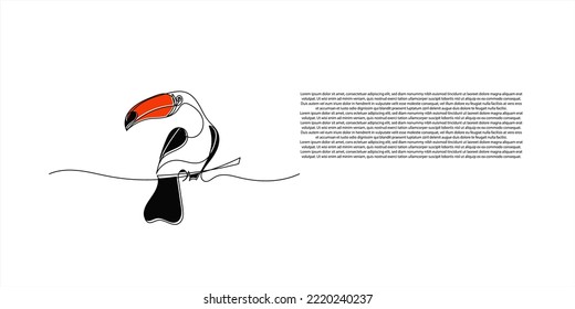 continuous line of the toucan bird. line drawing of a large beaked bird. toco toucan unique animal line art