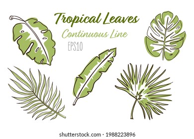 Continuous Line Tropical Leaves Collection. One line art style exotic floral items set. Hand drawn botanic isolated vector illustrations for logo, emblem template, web, prints