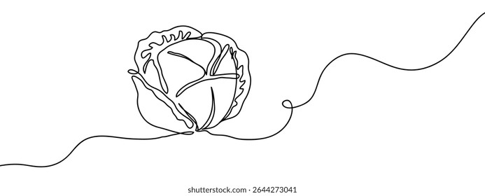 continuous line, turnip Simple art lines on transparent background.