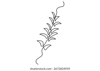 Continuous line vector drawing of botanical leaves one line contour illustration
