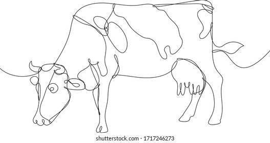 Continuous Line Vector Illustration Of A Cow. Farm Animals Series. White Background