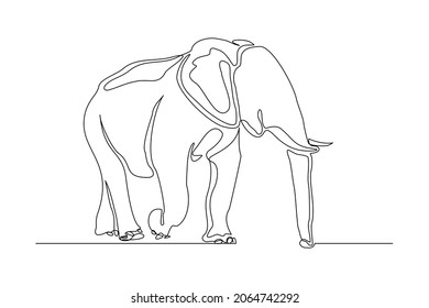 Continuous line of walking standing elephant. Single one line art of wild elephant. Vector illustration