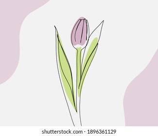 Continuous line, Wonderful pink tulips. Drawing of set Beautiful. (Vector illustration one line drawing)