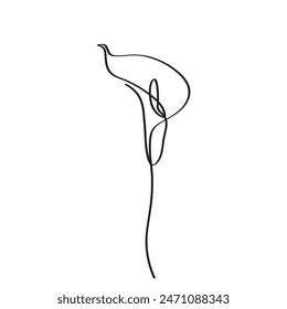 Continuous linear art of Calla Lily Art, Botanical Wall Art design for Invitations, Crafts, Collages, Minimalist, Simple, Livingroom, Bedroom outline.