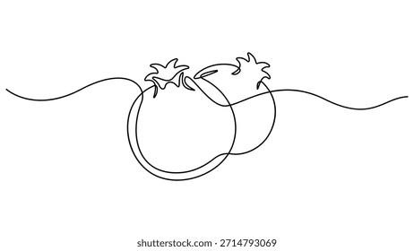 Dibujo lineal continuo de granada, Una línea dibujando granate, contorno de fruta feliz de Shana Tova, granada en un estilo de línea, estilo minimalista Abstractas, Ilustración vectorial