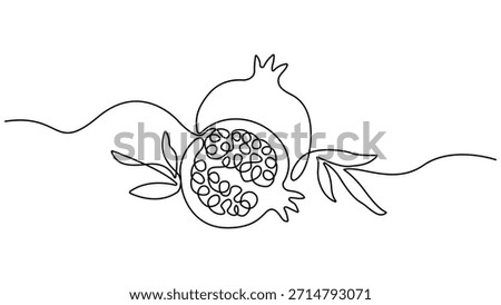 Continuous linear drawing of pomegranate, One line drawing garnet, Happy Shana Tova Fruit contour, Pomegranate in one line style, Abstract minimalistic style, Vector illustration