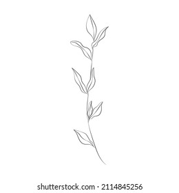 continuous lines flower flora logo wedding greeting card bride groom invitation card vector illustration
