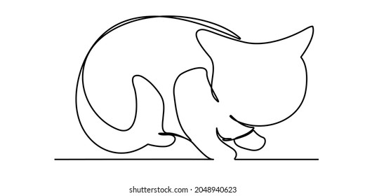 Continuous lines. Minimal cats Domestic pet clinic animal illustration sketch sketch drawing