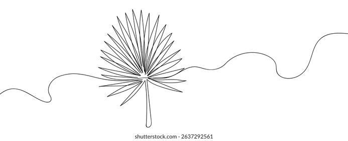 continuous lines palm leaves Line Art Vector Transparent Background.