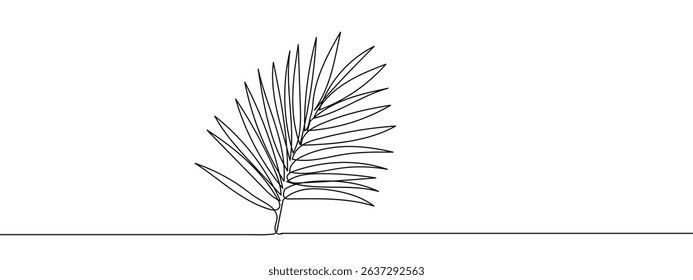continuous lines palm leaves Line Art Vector Transparent Background.