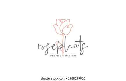 continuous lines pink rose flower logo symbol vector icon illustration graphic design