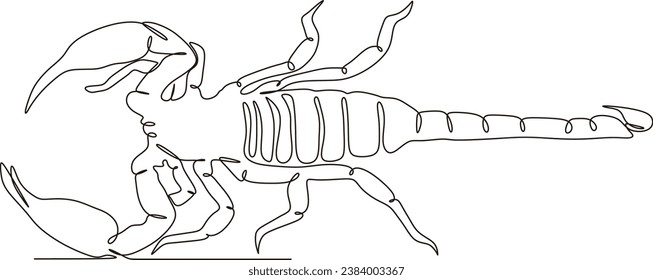 continuous lines simple simple scorpions