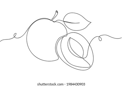 Continuous one line of apricot in silhouette. Linear stylized.Minimalist. Fruit food concept
