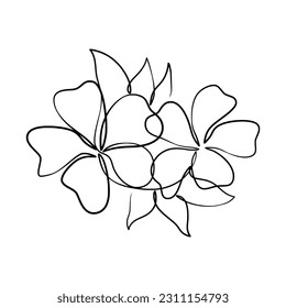 Continuous one line art drawing of beauty champa flower, Hand drawn single line champa flowers