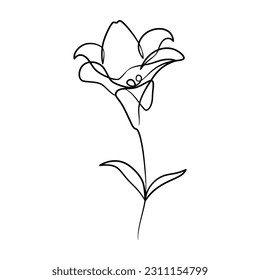 Continuous one line art drawing of beauty lily flower, Hand drawn single line lily flowers