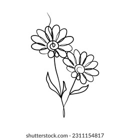 Continuous one line art drawing of beauty daisy flower, Hand drawn single line daisy flowers