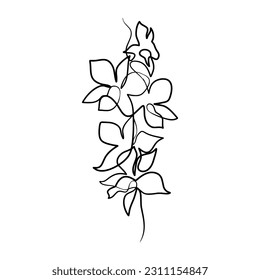 Dibujo continuo de una línea de arte de la flor de orquídeas de belleza, flor de orquídeas dibujada a mano de una sola línea