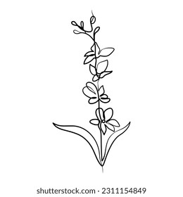 Continuous one line art drawing of beauty orchid flower, Hand drawn single line orchid flowers